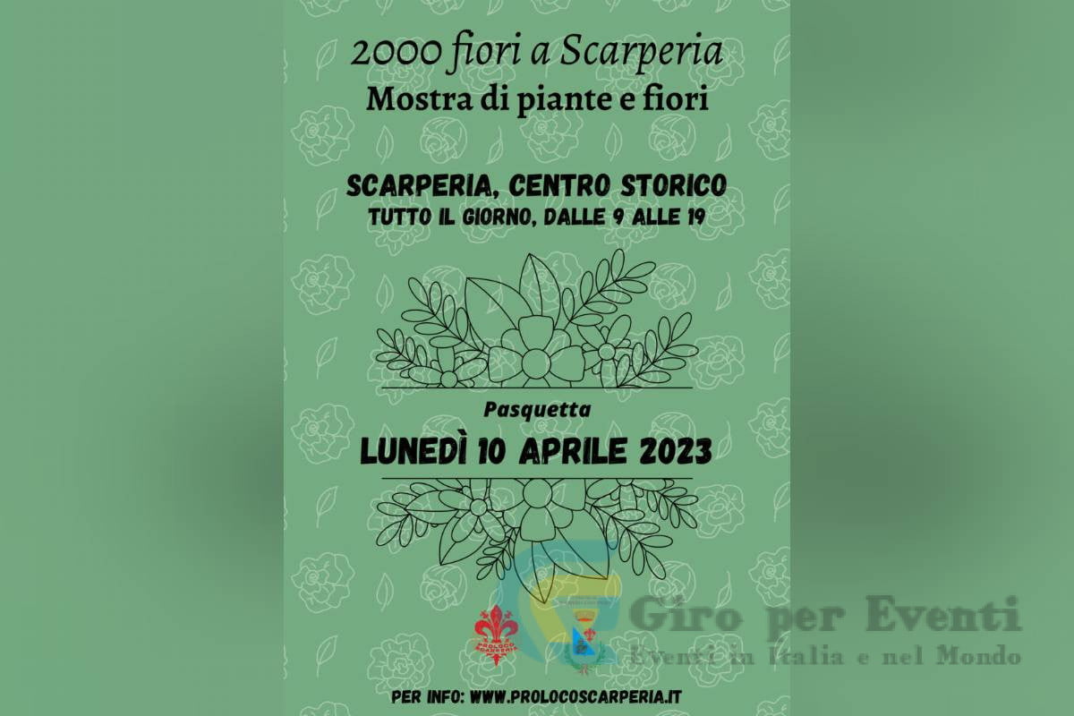 2000 Fiori a Scarperia