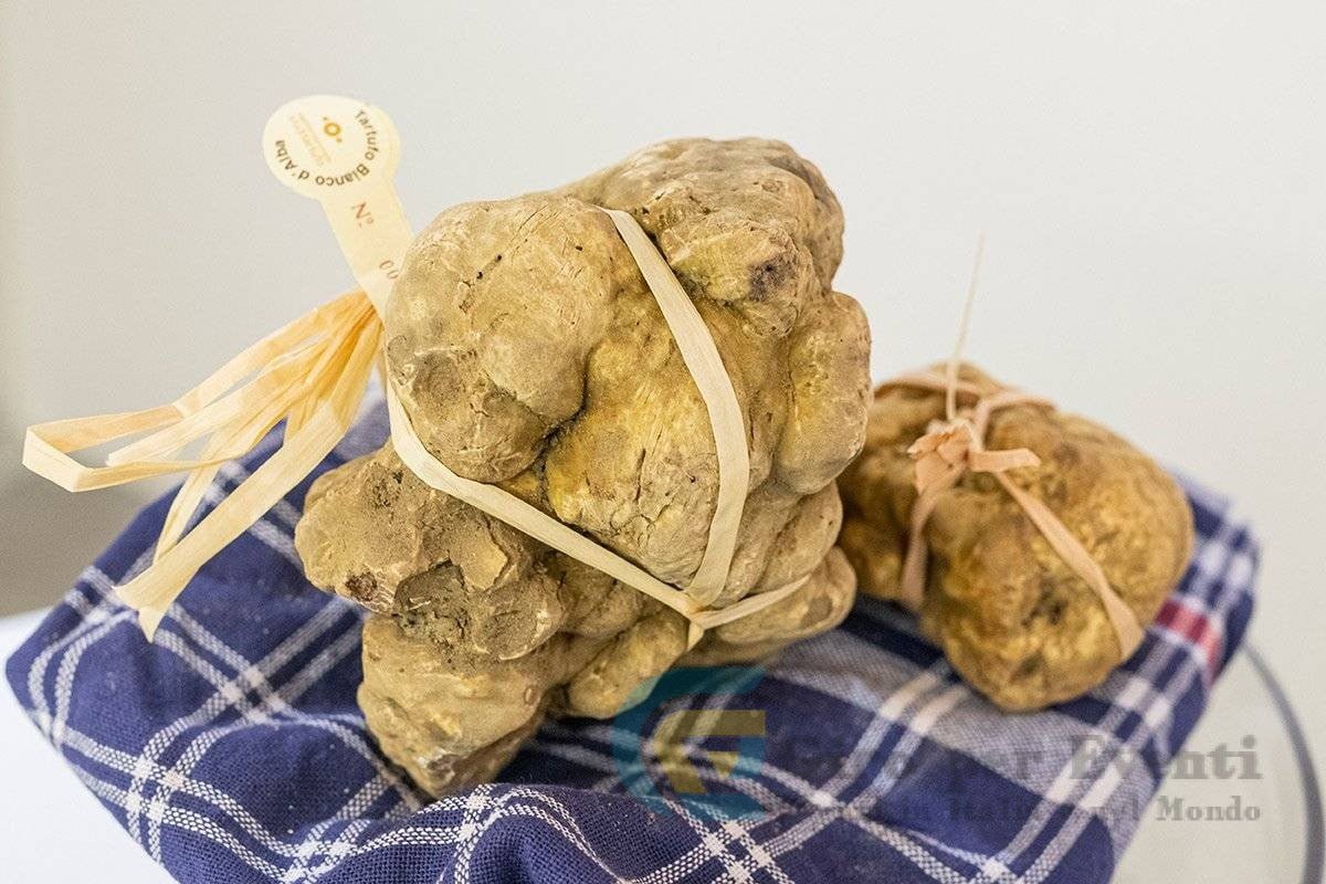 Fiera Internazionale del Tartufo Bianco d'Alba