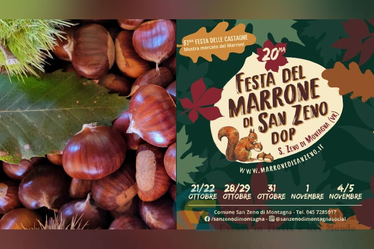 Festa del Marrone di San Zeno DOP