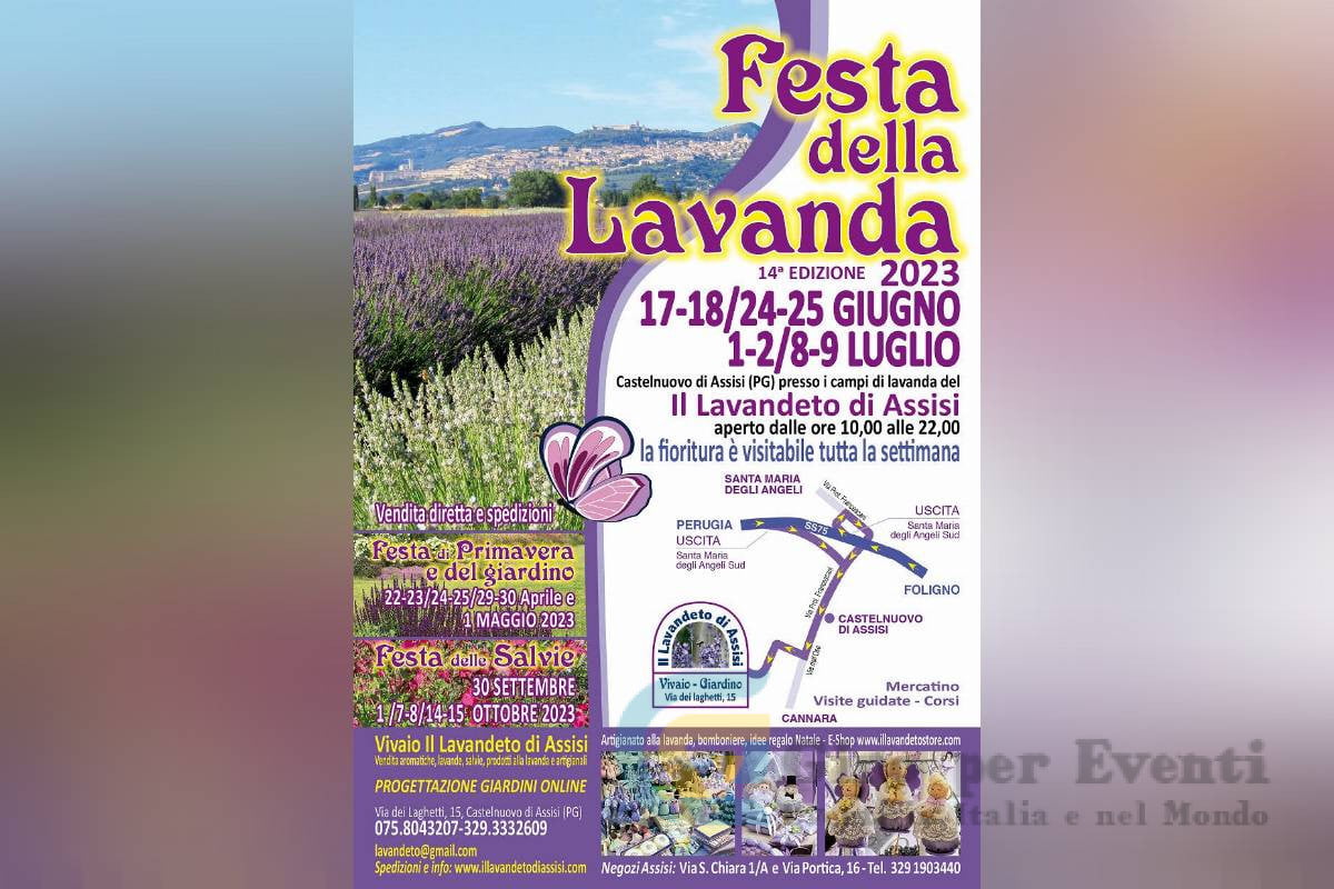 Festa della Lavanda ad Assisi banner