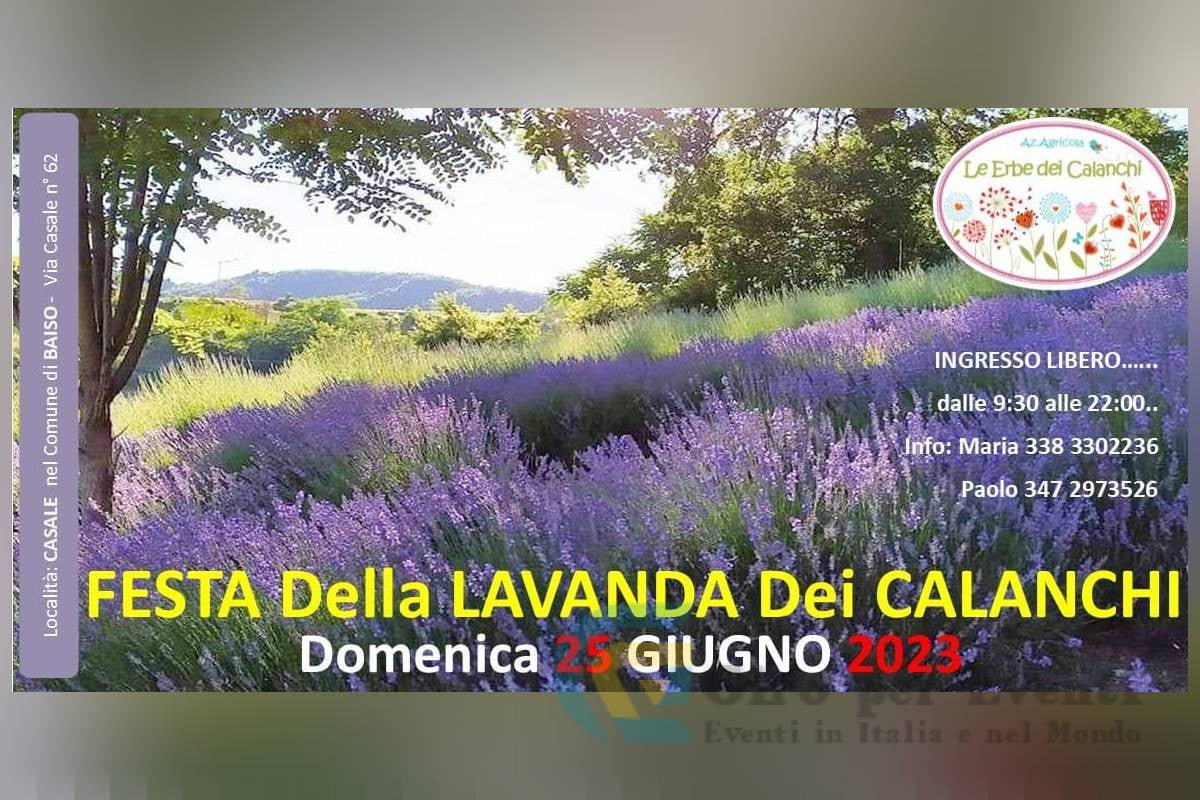 Festa della Lavanda dei Calanchi a Baiso