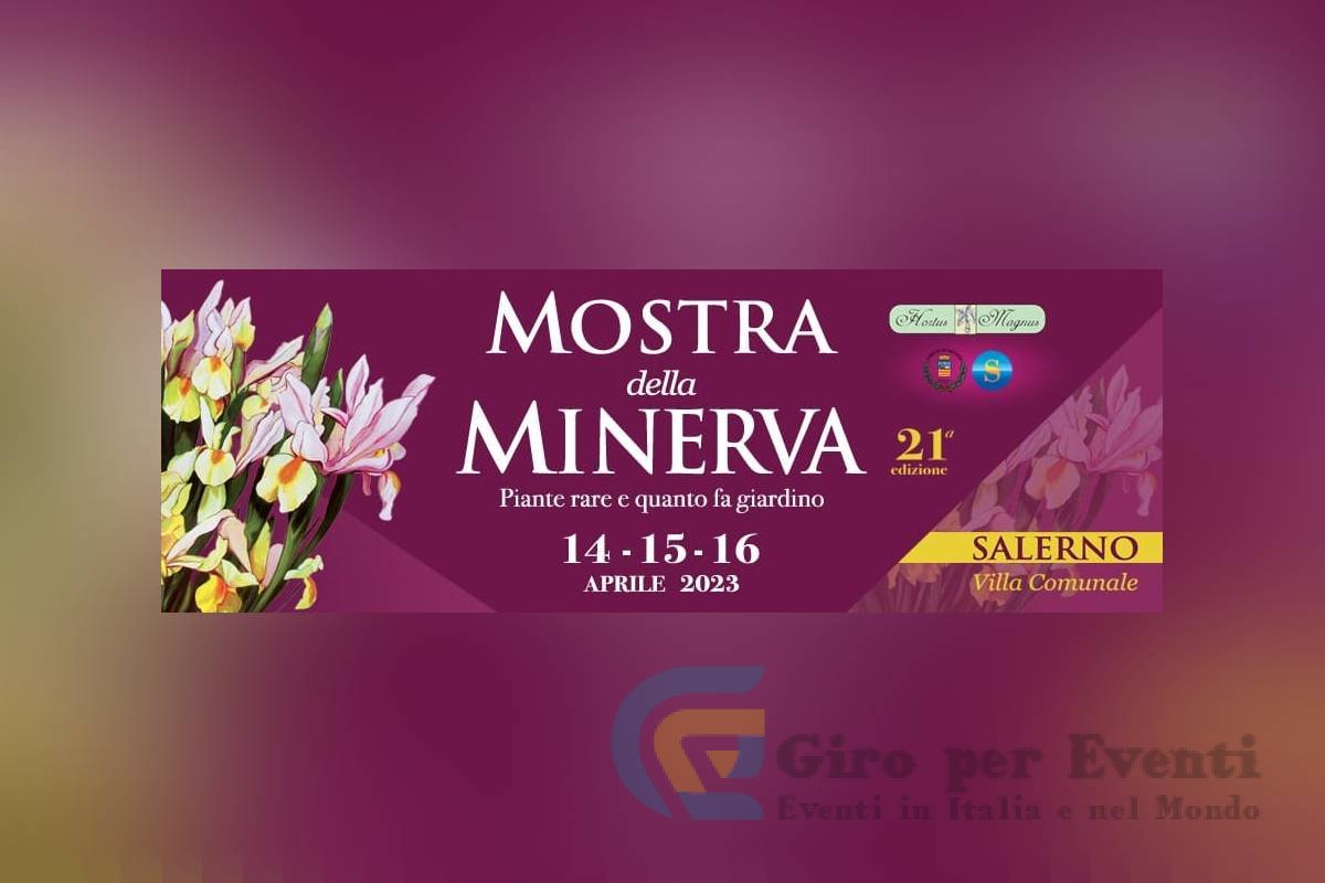 Mostra della Minerva Salerno