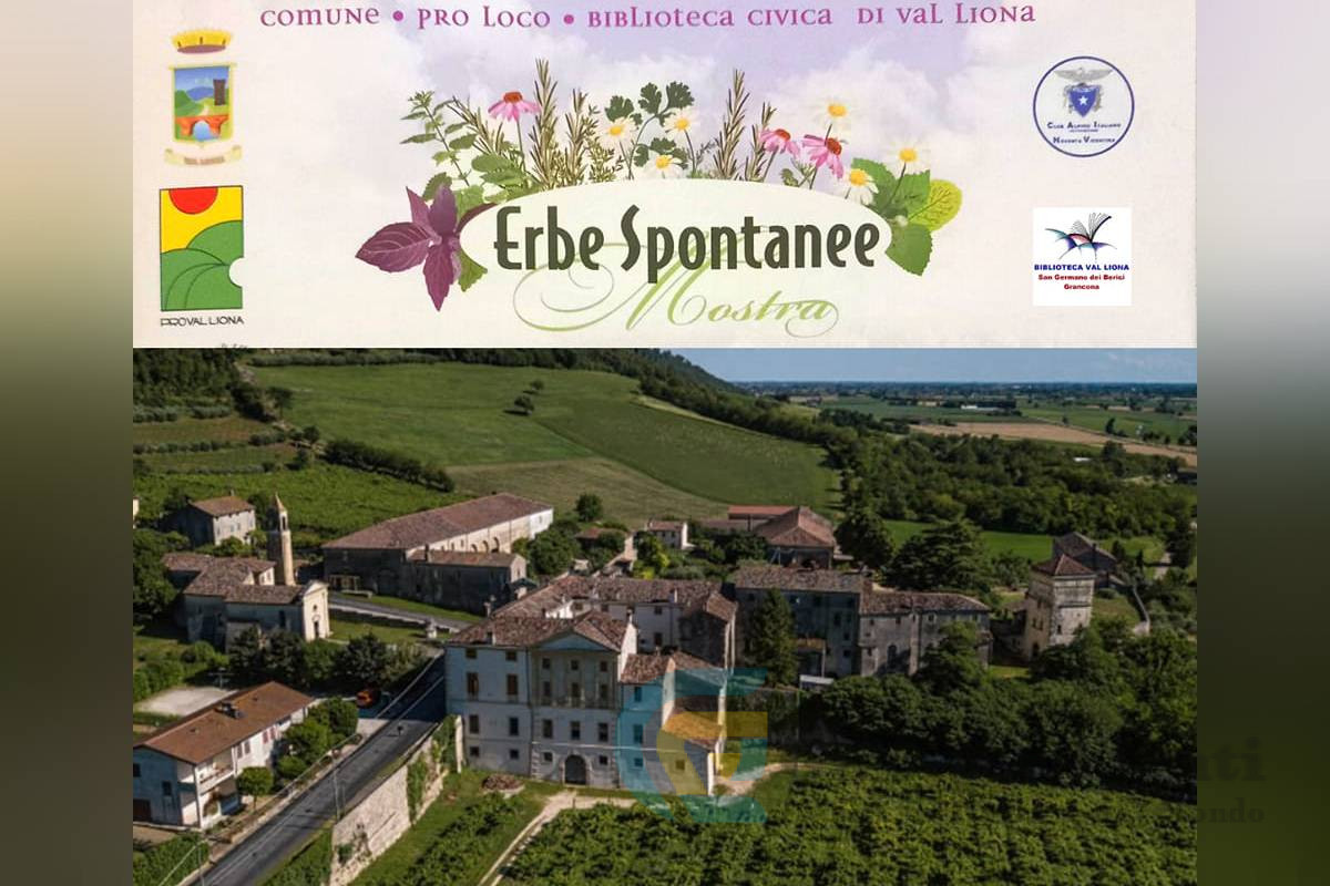 Mostra Erbe Spontanee della Val Liona