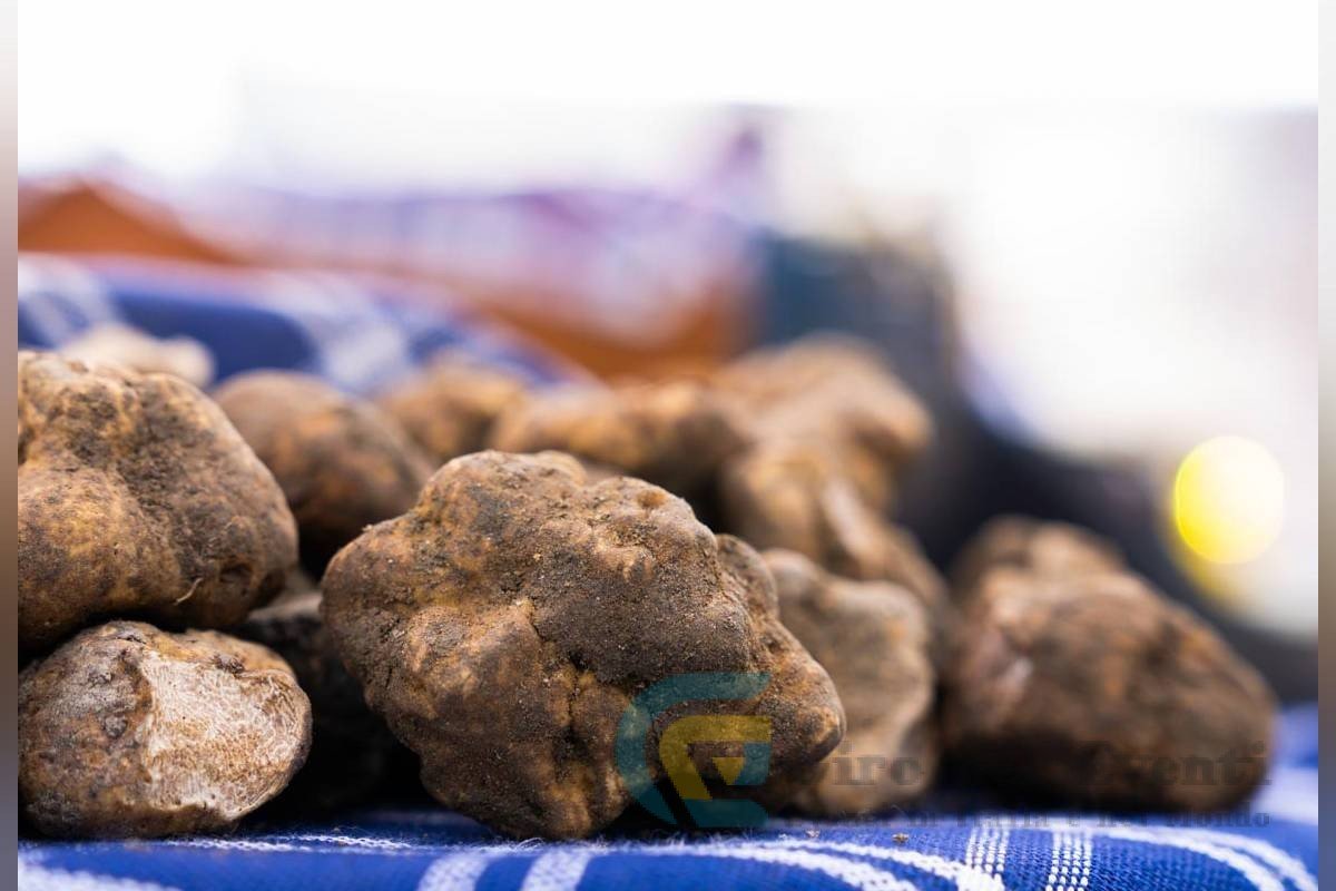 Mostra Mercato del Tartufo e della Patata Bianca di Pietralunga