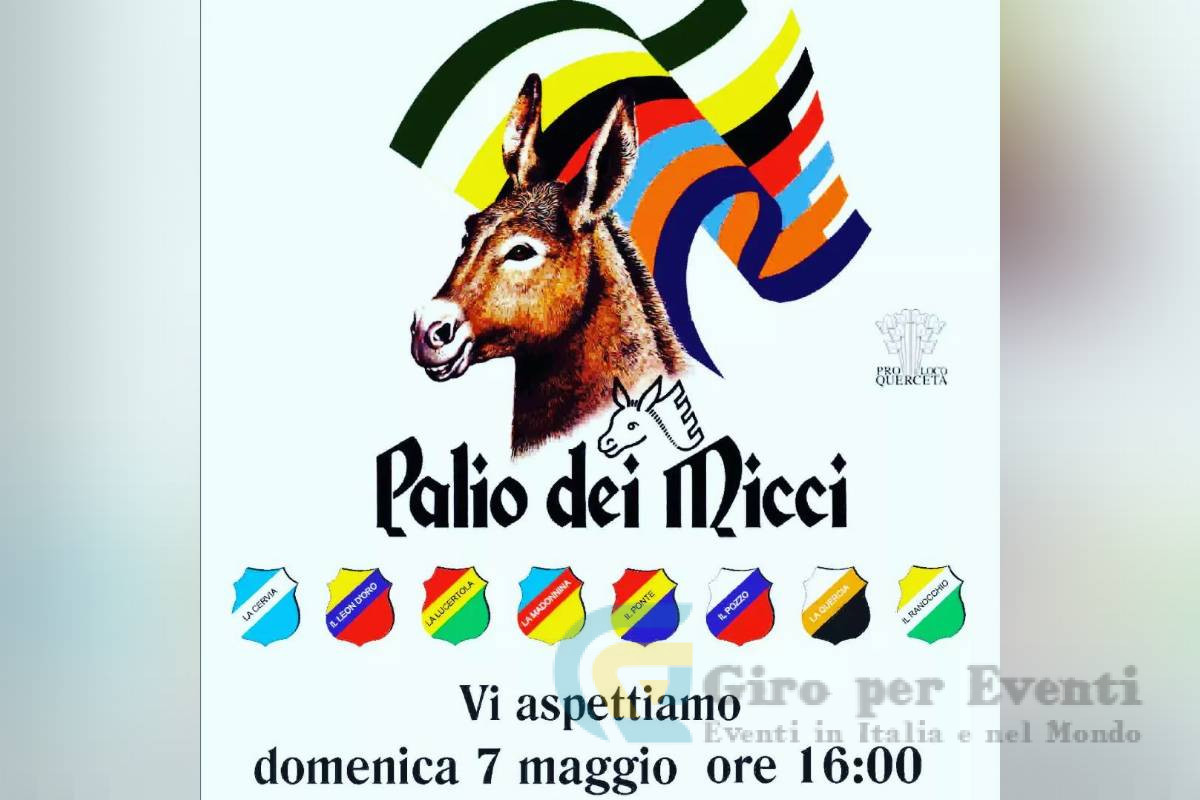 Palio dei Micci a Querceta