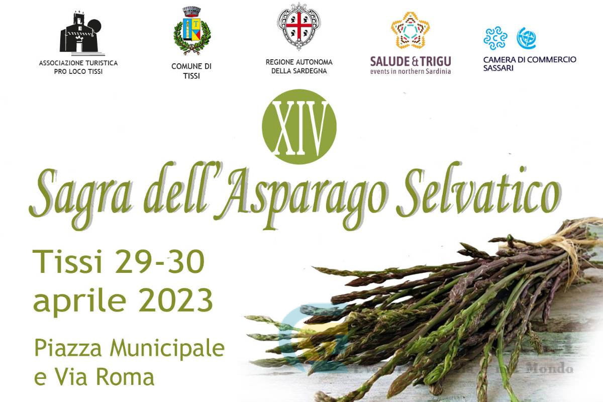 Sagra dell'Asparago Selvatico a Tissi