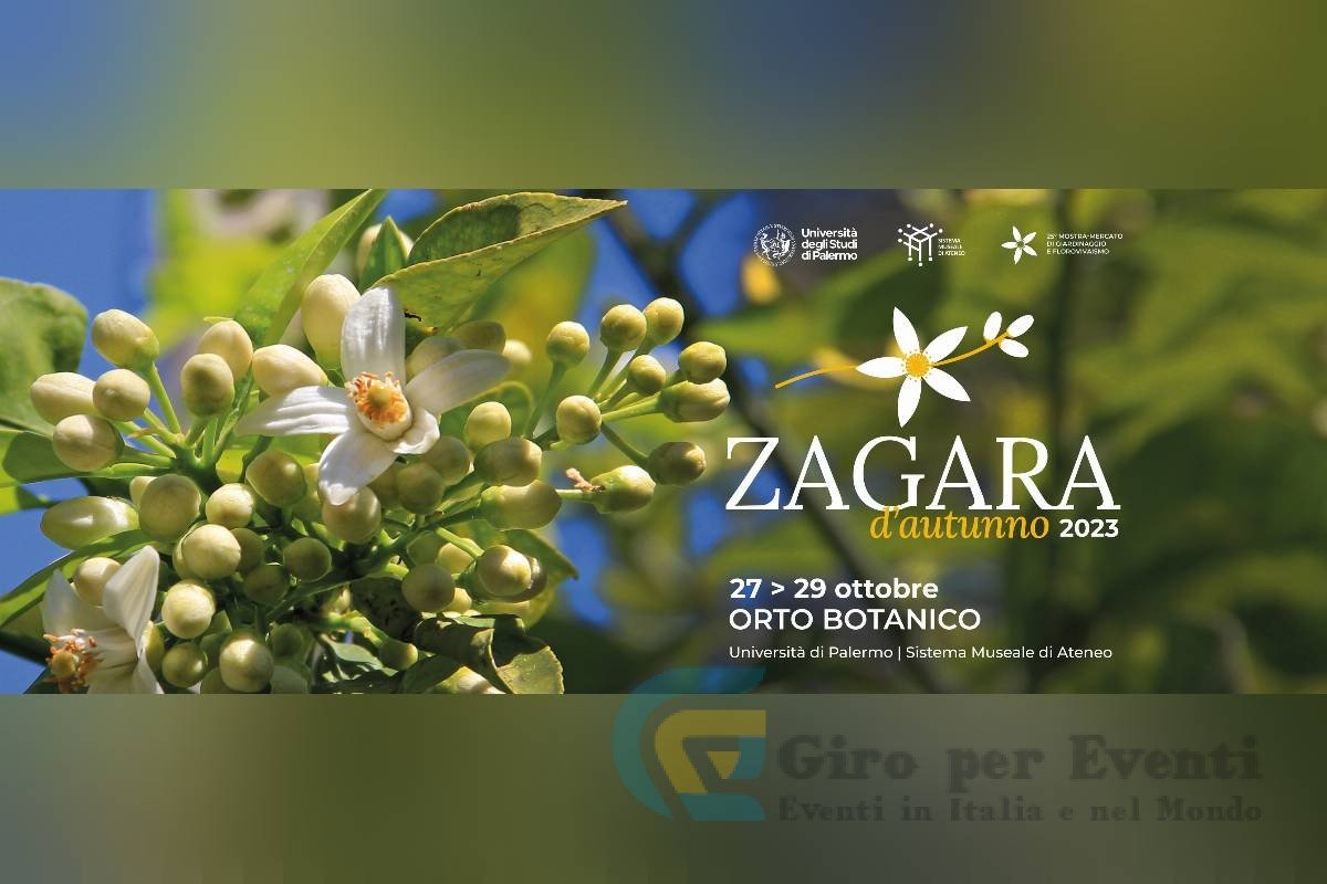 Zagara d'Autunno a Palermo