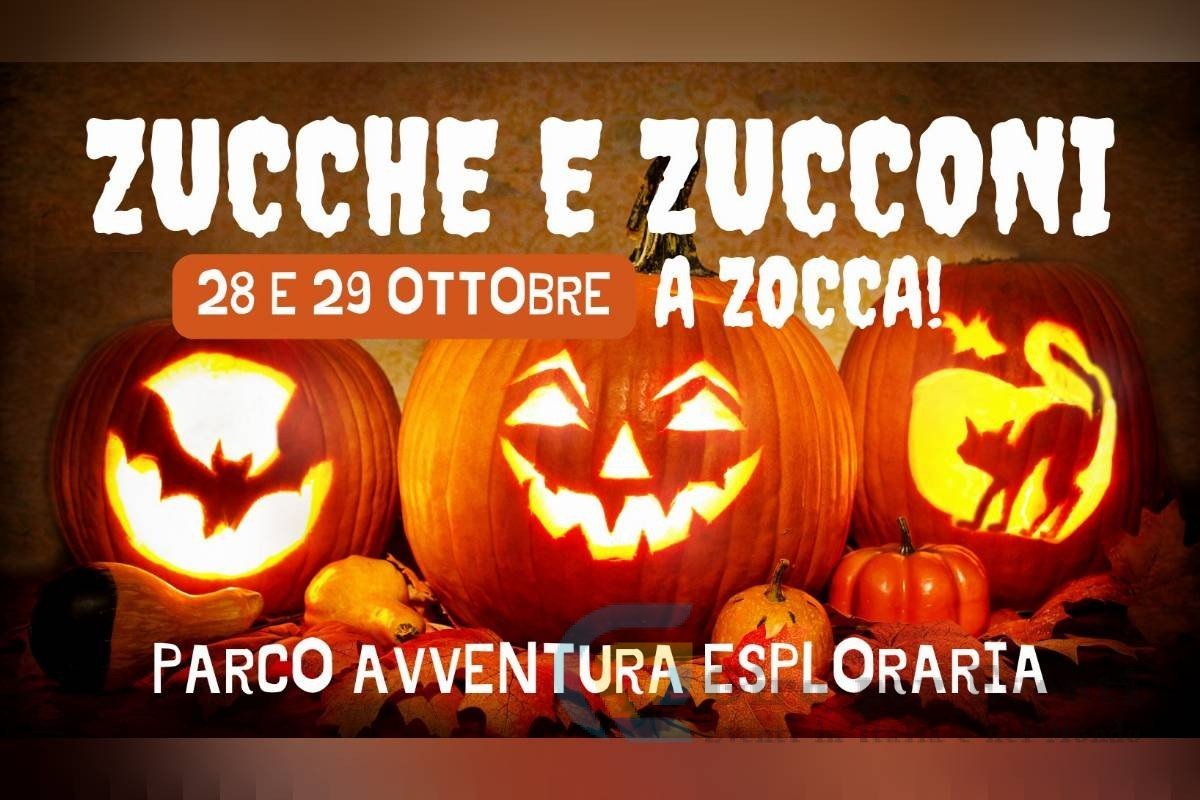 Zucche e Zucconi a Zocca