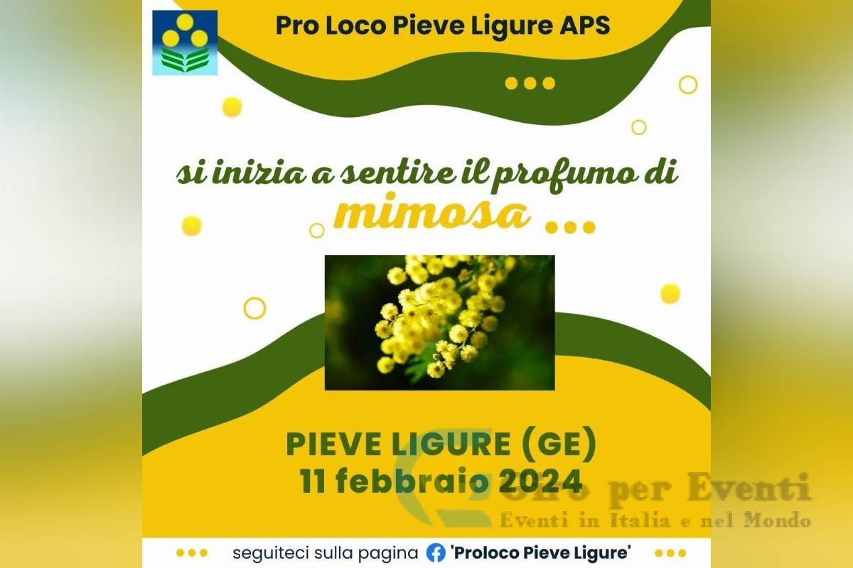 Sagra della Mimosa a Pieve Ligure