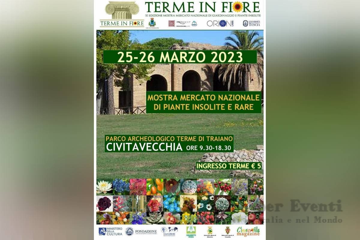 Terme in Fiore a Civitavecchia