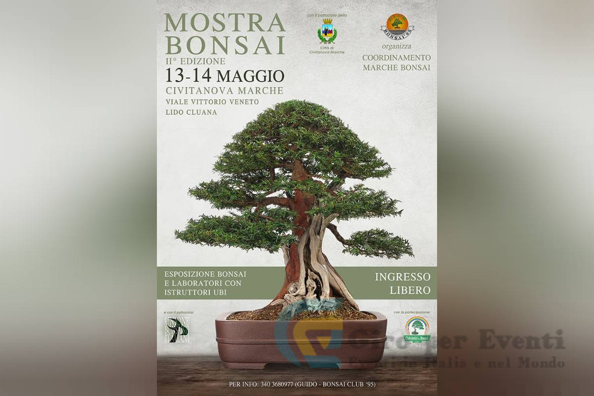 Mostra Bonsai a Civitanova Marche