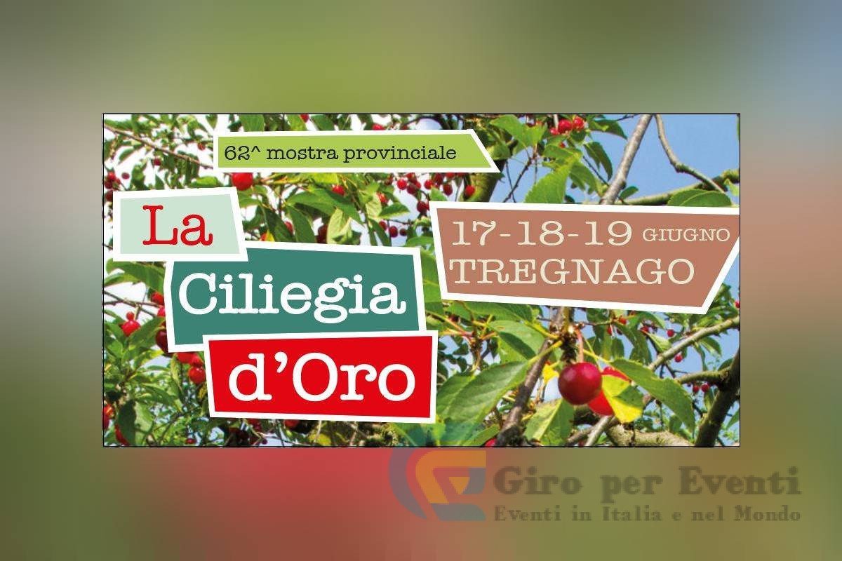 Mostra Provinciale La Ciliegia d’Oro a Tregnago