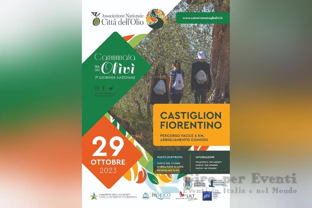 La Camminata tra gli Olivi a Castiglion Fiorentino