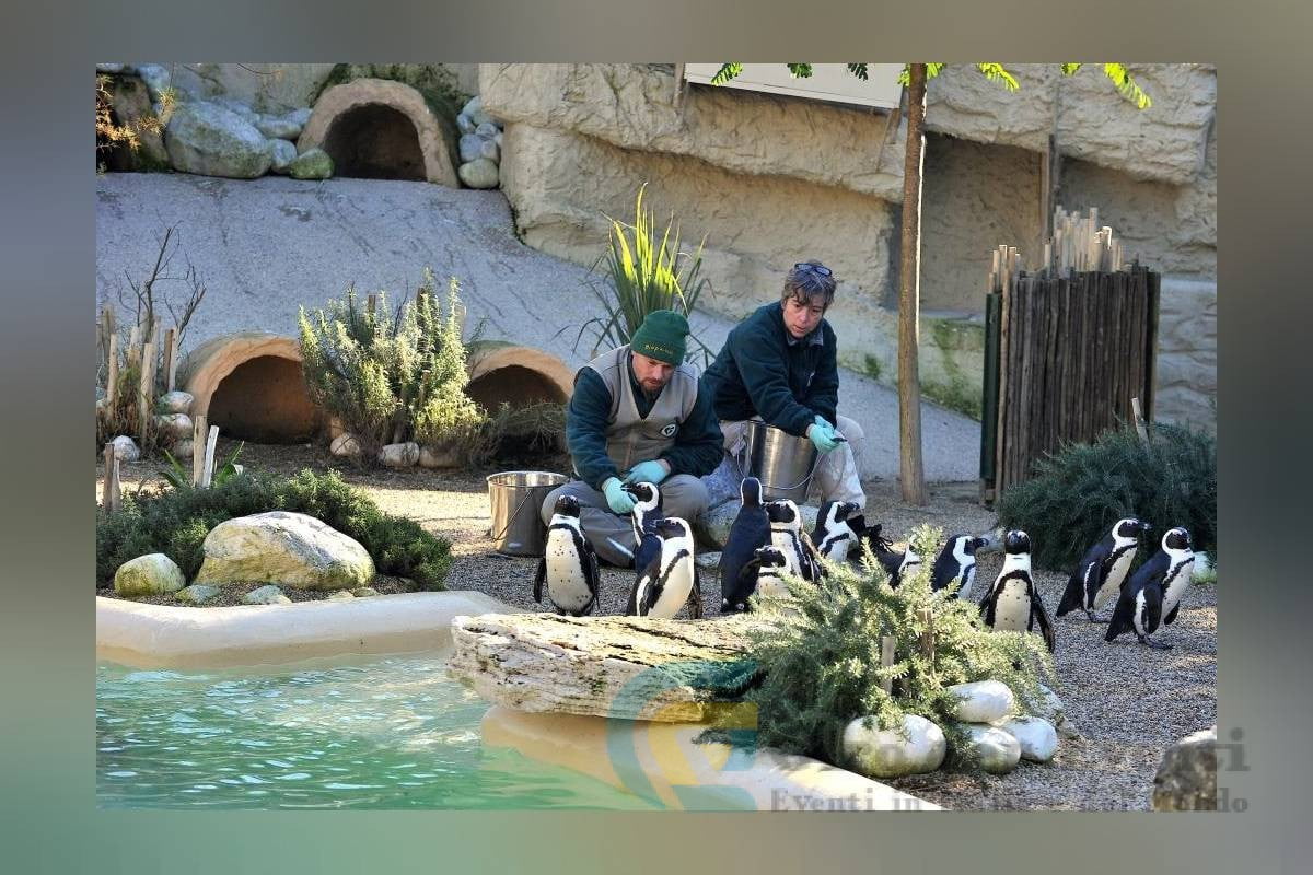 Invertiamo il Rosso al Bioparco di Roma